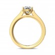 FlyerFit® 14K Yellow Gold Micropave Engagement Ring