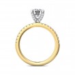 FlyerFit® 18K Yellow Gold Shank And White Gold Top Micropave Engagement Ring