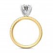 FlyerFit® 14K Yellow and 14K White Gold Micropave Engagement Ring
