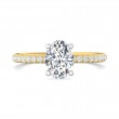 FlyerFit® 14K Yellow and 14K White Gold Micropave Engagement Ring