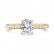 FlyerFit® 14K Yellow Gold Micropave Engagement Ring