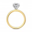 FlyerFit® 14K Yellow and 14K White Gold Micropave Engagement Ring