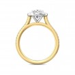 FlyerFit® 18K Yellow Gold Shank And White Gold Top Micropave Halo Engagement Ring