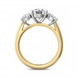 FlyerFit® 14K Yellow and 14K White Gold Three Stone Engagement Ring