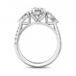 FlyerFit® Platinum Three Stone Engagement Ring