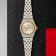 TUDOR Royal Watch - M2830A1A3-0003 at A.R. Morris Jewelers