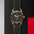 TUDOR Black Bay Bronze Watch - M79250BA-0001 at A.R. Morris Jewelers