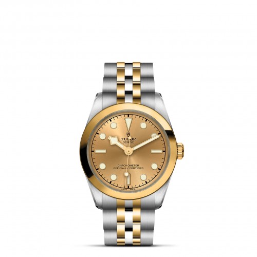 TUDOR Black Bay 31/36/39/41 S&G Watch - M79603-0005 at A.R. Morris Jewelers