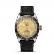 TUDOR Black Bay Watch - M79733N-0003 at A.R. Morris Jewelers