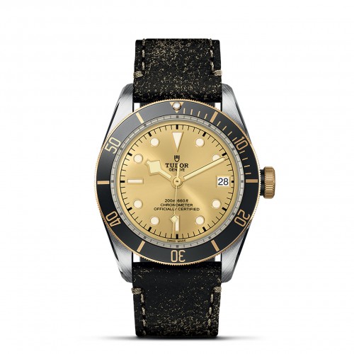 TUDOR Black Bay Watch - M79733N-0003 at A.R. Morris Jewelers