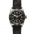 TUDOR Black Bay Watch - M79733N-0007 at A.R. Morris Jewelers