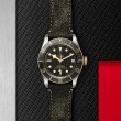 TUDOR Black Bay Watch - M79733N-0007 at A.R. Morris Jewelers