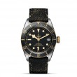 TUDOR Black Bay Watch - M79733N-0007 at A.R. Morris Jewelers