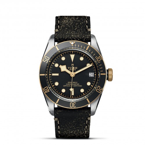 TUDOR Black Bay Watch - M79733N-0007 at A.R. Morris Jewelers