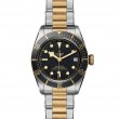 TUDOR Black Bay Watch - M79733N-0008 at A.R. Morris Jewelers