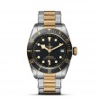 TUDOR Black Bay Watch - M79733N-0008 at A.R. Morris Jewelers