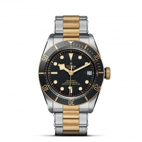 TUDOR Black Bay Watch - M79733N-0008 at A.R. Morris Jewelers
