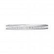 FlyerFit® 14K White Gold Channel  Wedding Band