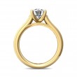 FlyerFit® 14K Yellow Gold Channel and Shared Prong Engagement Ring
