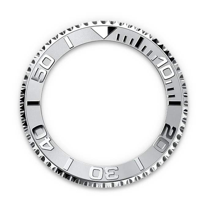 Bidirectional Rotatable Bezel